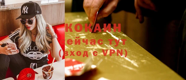 дурь Горняк