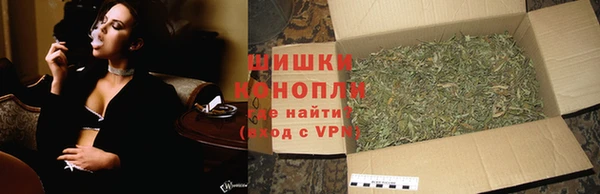 дурь Горняк