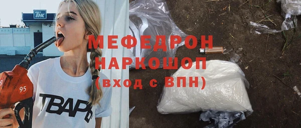 гашик Вяземский