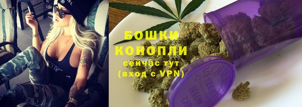 гидропоника Гусиноозёрск