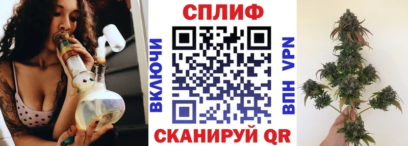 Марихуана Amnesia  мега ссылки  Зверево 